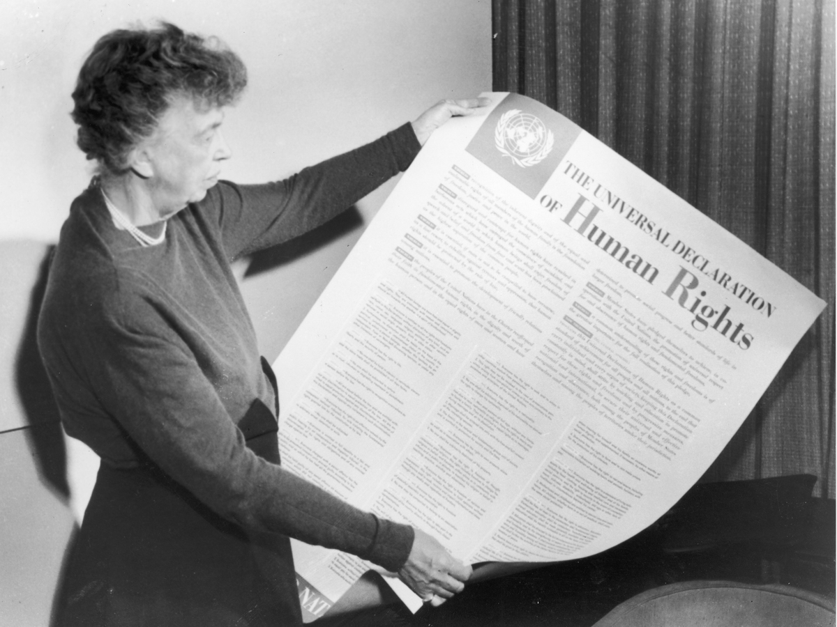 The Universal Declaration Of Human Rights Arab World Books